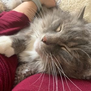 Meet your Posher, Charlene